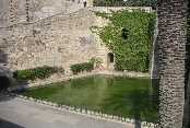 Bassin du Palacio de Palma (avec un cygne noir dans l'eau)
